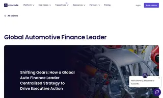 Preview of the Global Automotive Finance Leader Case Study