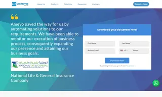 Preview of the National Life & General Insurance Company Case Study