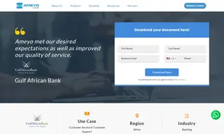 Preview of the Gulf African Bank Case Study
