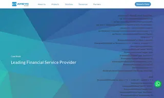 Preview of the Leading Financial Service Provider Case Study