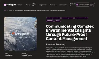 Preview of the Satelligence Case Study