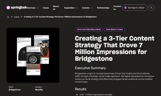 Preview of the BridgeStone Case Study