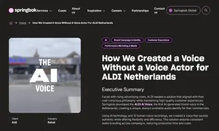 Preview of the ALDI Case Study