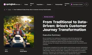 Preview of the Brico Case Study