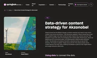 Preview of the AkzoNobel Case Study