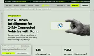 Preview of the BMW Case Study