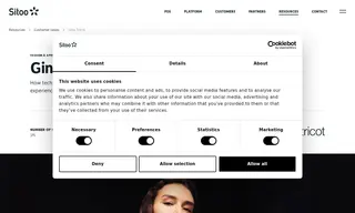 Preview of the Gina Tricot Case Study