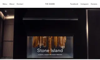 Preview of the Stone Island Case Study