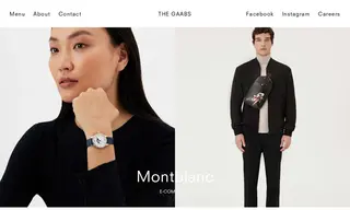 Preview of the Montblanc Case Study