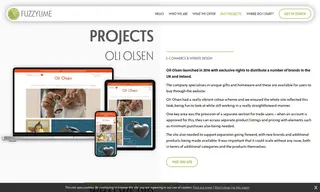 Preview of the Oli Olsen Case Study