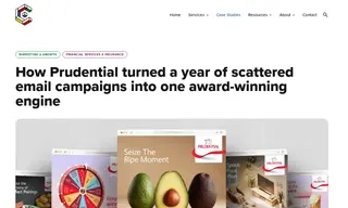 Preview of the Prudential Singapore Case Study