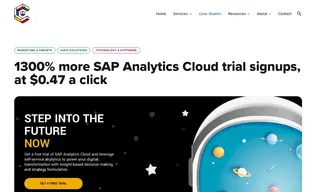 Preview of the SAP Case Study