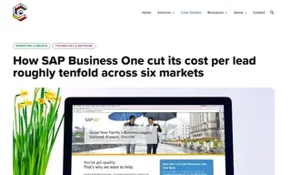Preview of the SAP Case Study