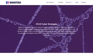 Preview of the CFLW Cyber Strategies Case Study