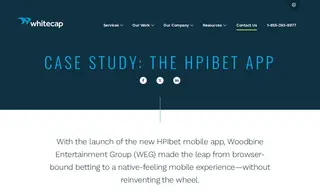 Preview of the Woodbine Entertainment Group Case Study