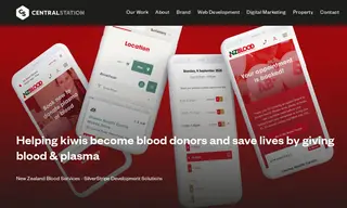 Preview of the New Zealand Blood Service Case Study