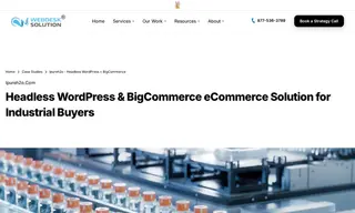 Preview of the Pure H2O Technologies, Inc Case Study