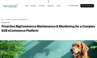 Preview of the Generation Pet Case Study