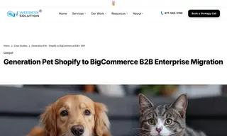 Preview of the Generation Pet Case Study