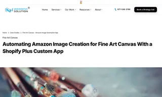 Preview of the Fine Art Canvas Case Study