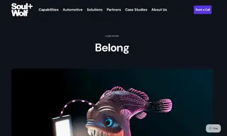 Preview of the Belong Case Study