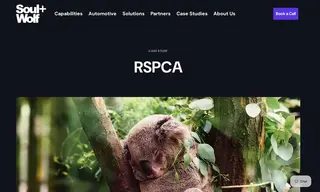 Preview of the RSPCA Case Study