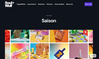 Preview of the Saison Case Study