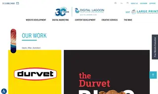 Preview of the Durvet Case Study