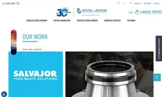 Preview of the Salvajor Case Study