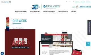 Preview of the Michael D. Peroo, CPA Case Study