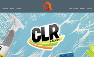 Preview of the Jelmar LLC Case Study