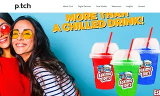 Preview of the Eskimo Joe's Case Study