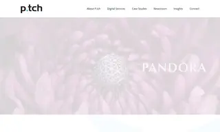 Preview of the Pandora Case Study