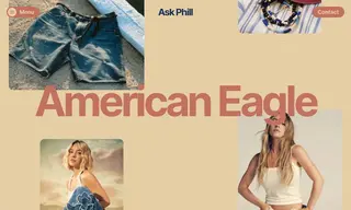Preview of the American Eagle Case Study