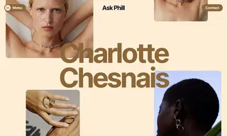 Preview of the Charlotte Chesnais Case Study