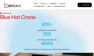 Preview of the Blue Hat Crane Case Study