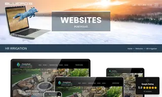 Preview of the Hampton Roads Irrigation & Landscape Case Study