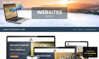 Preview of the Grant Veterinary Care Case Study
