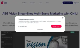 Preview of the AEG Vision Case Study