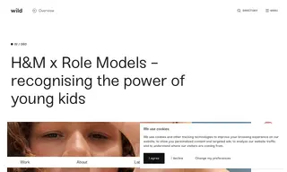 Preview of the H&M Case Study