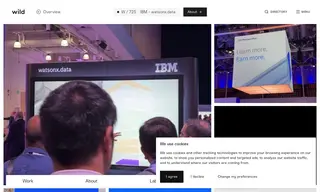 Preview of the IBM Case Study