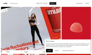 Preview of the Amulet Case Study