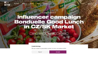 Preview of the Bonduelle Case Study