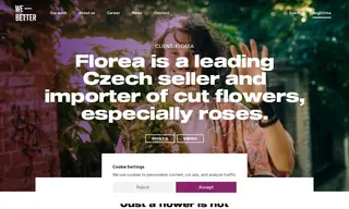 Preview of the Florea Case Study