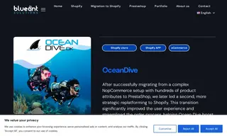 Preview of the Ocean Dive Aps Case Study