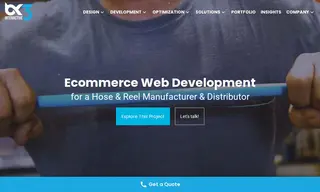 Preview of the BluBird Industries Case Study
