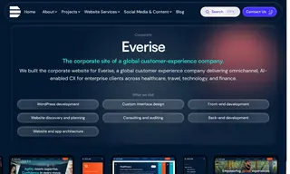 Preview of the Everise Case Study