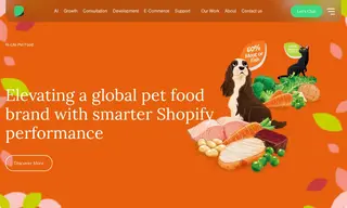 Preview of the Hi-Life Pet Food Case Study