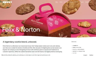 Preview of the Félix & Norton Case Study