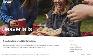 Preview of the BeaverTails Case Study